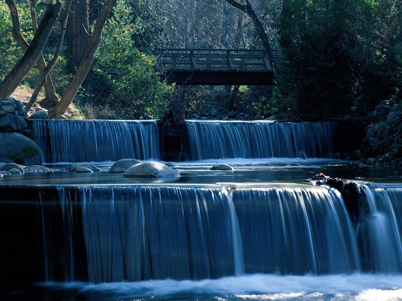 Waterfall in Forest — Blue, Serene, Afternoon, Photograph, Bridge