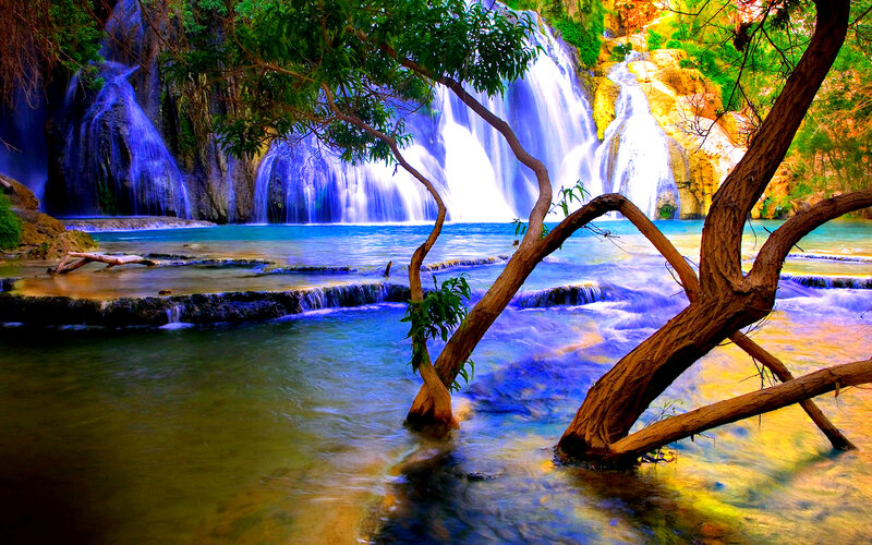 Waterfall in Forest — Blue, Serene, Afternoon, Photograph, Trees