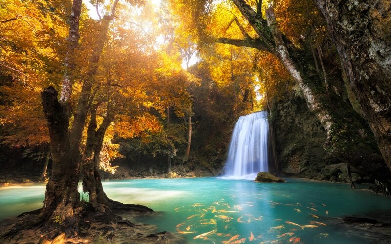 Waterfall in Forest — Blue, Serene, Autumn, Photograph, Trees, Fish, Pool