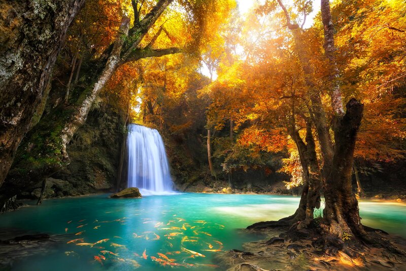 Waterfall in Forest — Blue, Serene, Autumn, Photograph, Trees, Fish