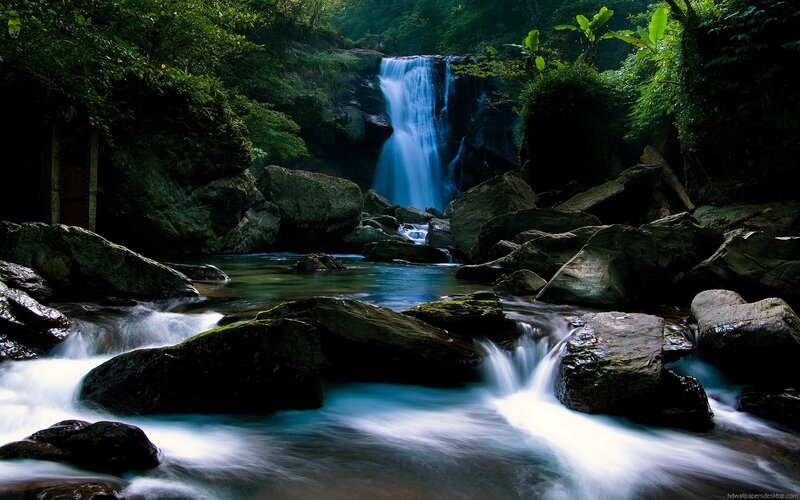 Waterfall in Forest — Blue, Serene, Photograph, River, Rocks, Trees