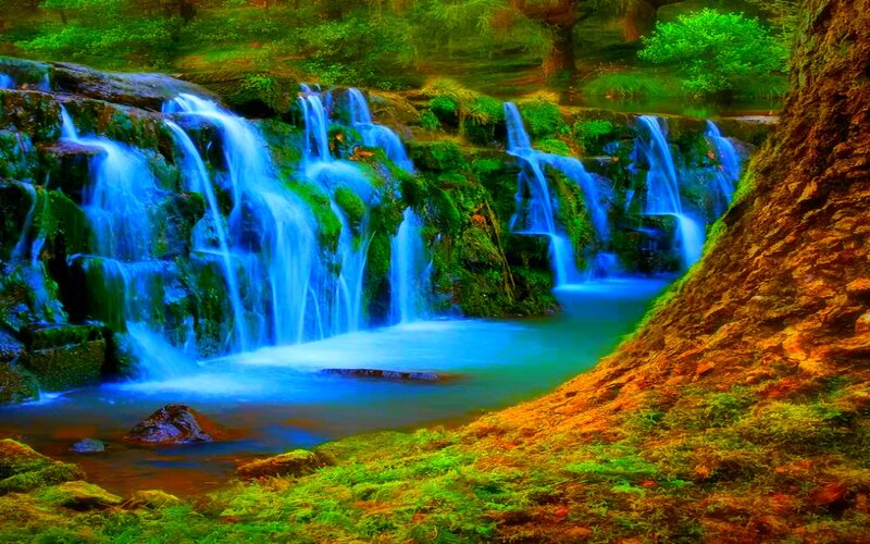 Waterfall in Forest — Blue, Serene, Photograph, Rocks, Trees