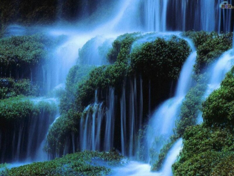 Waterfall in Forest — Blue, Serene, Photograph, Trees, Rocks, Moss