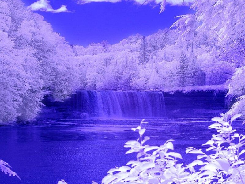 Waterfall in Forest — Blue, Serene, Photograph, Trees