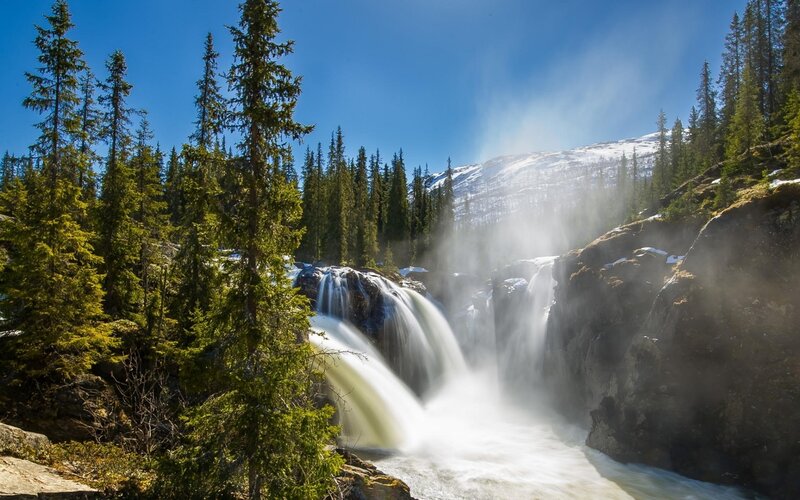 Waterfall in Forest — Blue, Serene, Spring, Photograph, Trees