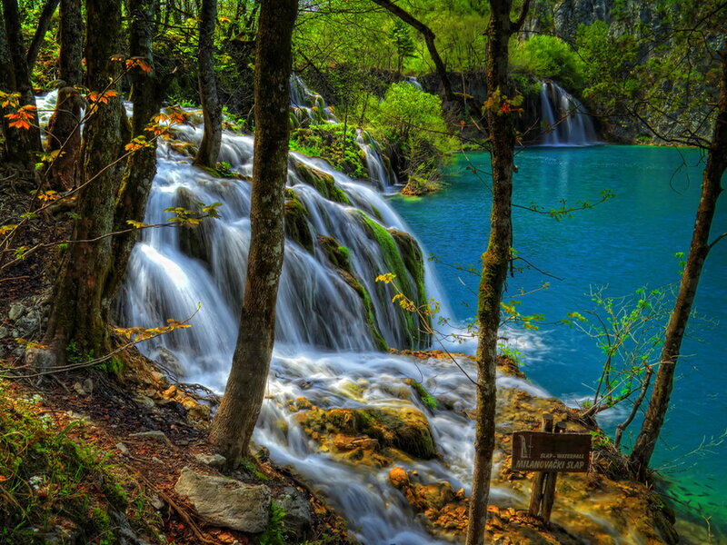 Waterfall in Forest — Blue, Serene, Spring