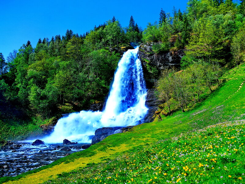 Waterfall in Forest — Blue, Serene, Summer