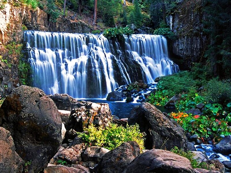 Waterfall in Forest — Blue