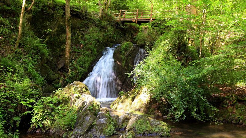 Waterfall in Forest — Bridge
