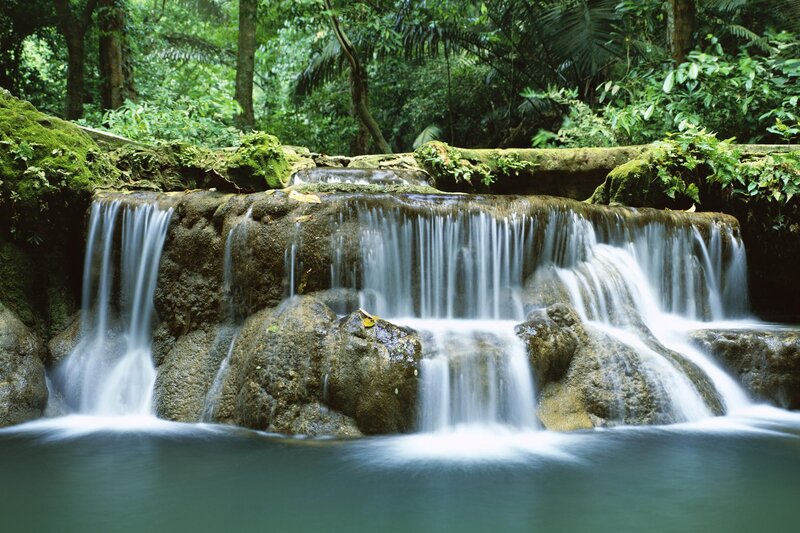 Waterfall in Forest — Brown, Blue