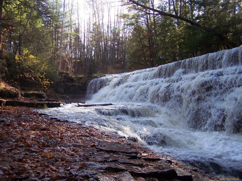Waterfall in Forest — Brown, Serene, Autumn, Photograph, Trees, Leaves