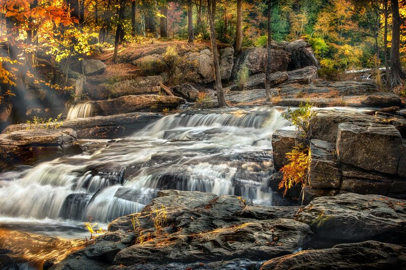 Waterfall in Forest — Brown, Serene, Autumn, Photograph, Trees, Rocks, Autumn Leaves