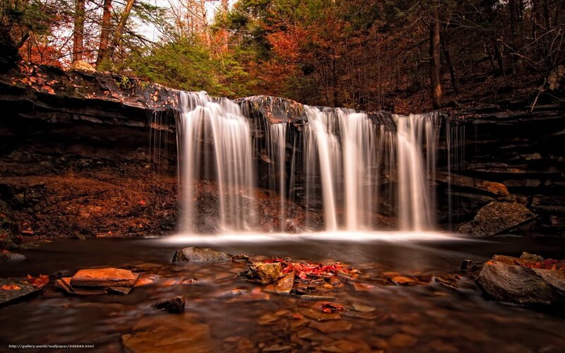 Waterfall in Forest — Brown, Serene, Autumn, Photograph, Trees, Rocks, Leaves