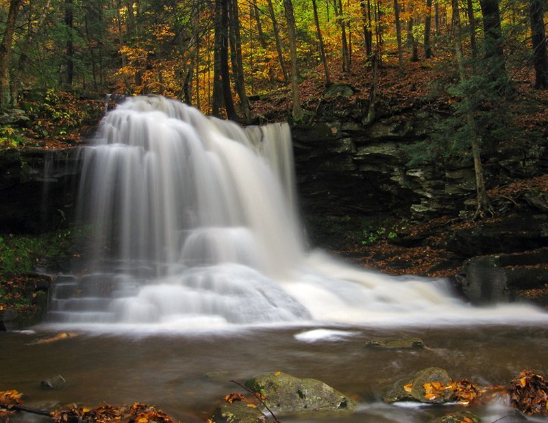 Waterfall in Forest — Brown, Serene