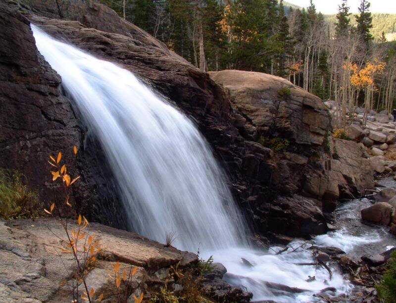 Waterfall in Forest — Brown