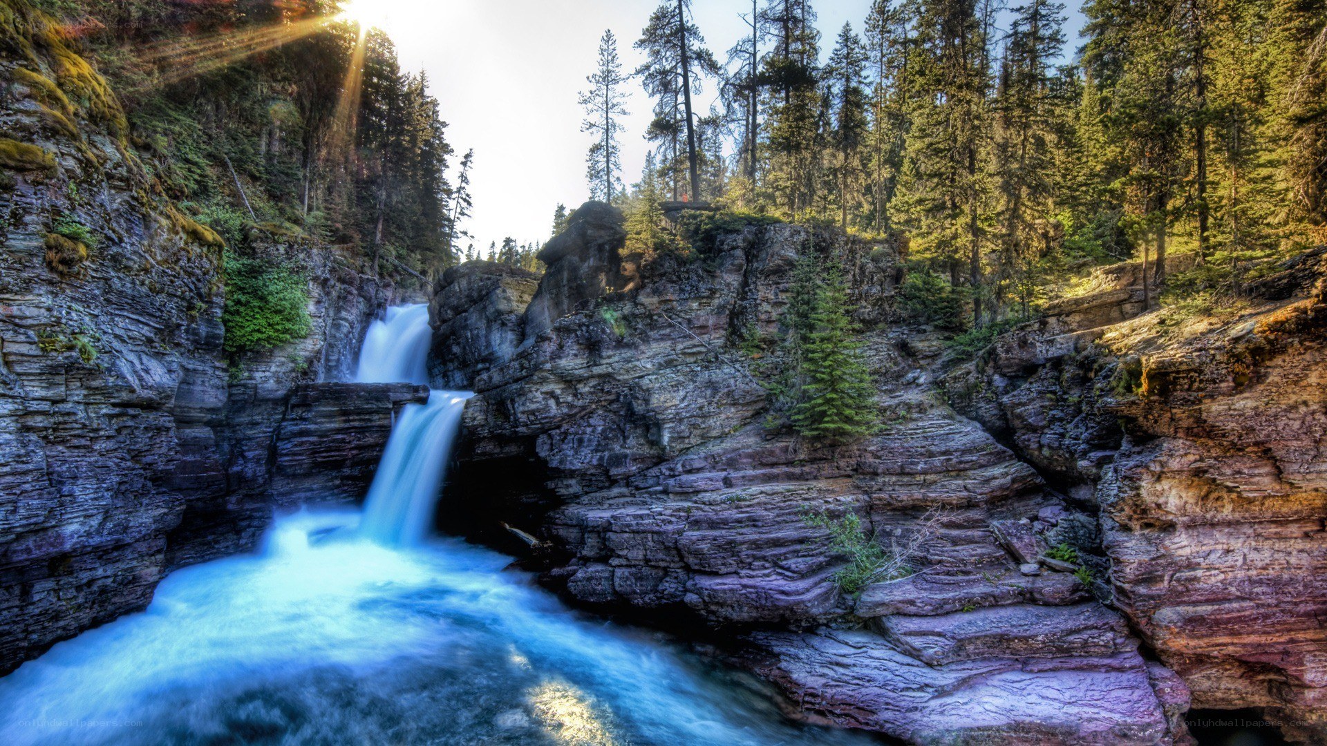 Waterfall in forest canyon