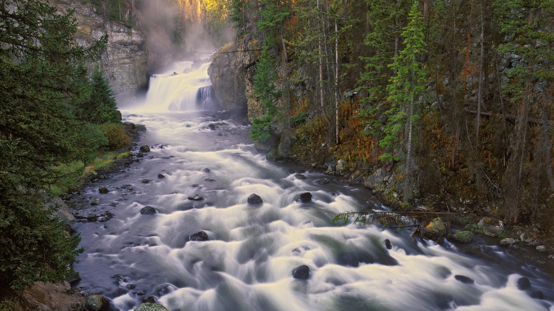 Waterfall in forest canyon