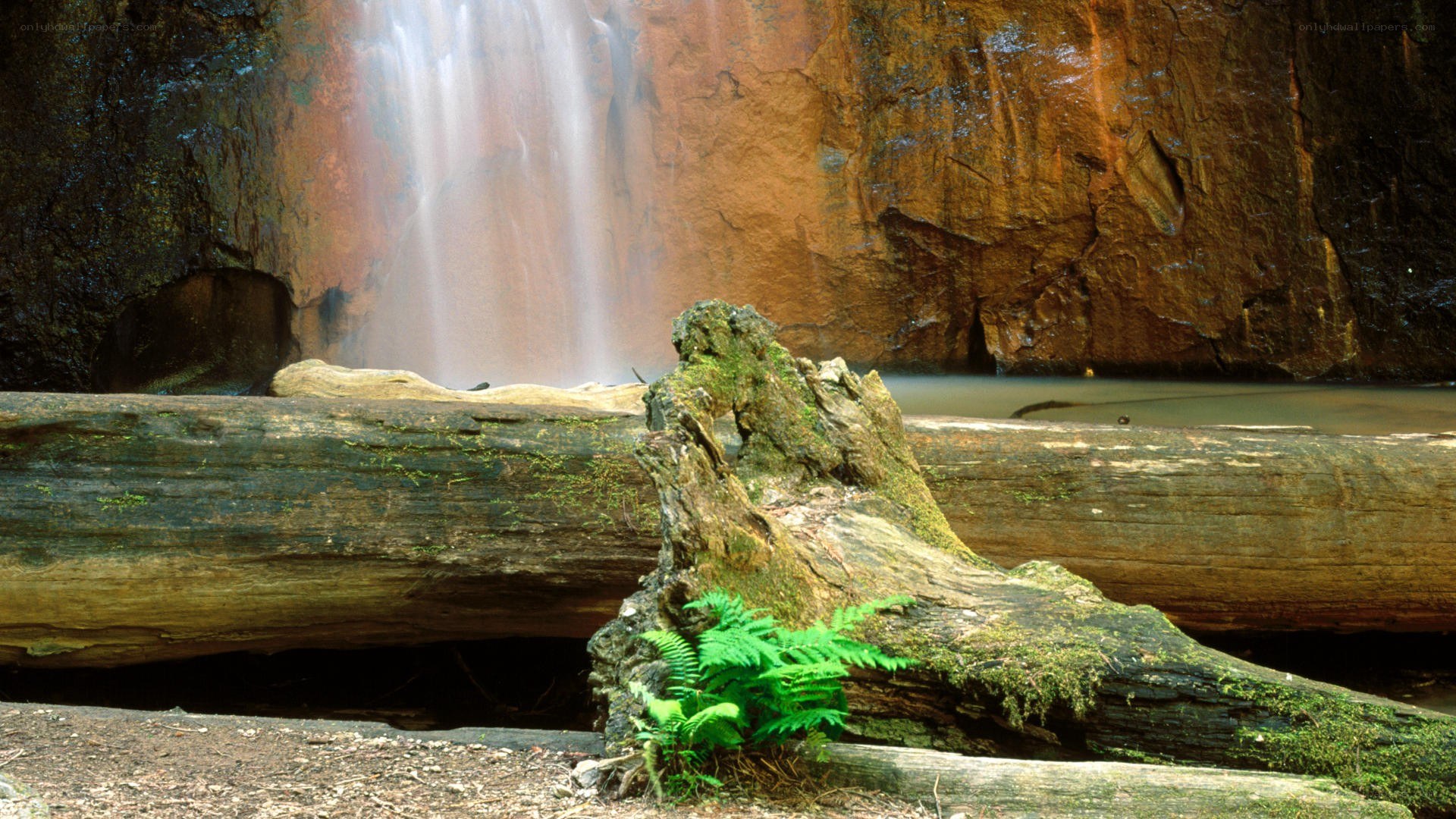 Waterfall in forest canyon