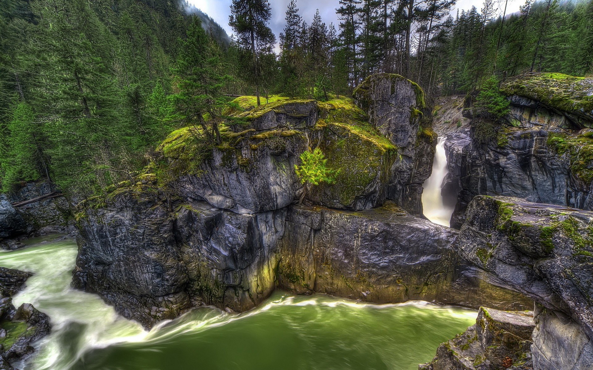 Waterfall in forest canyon