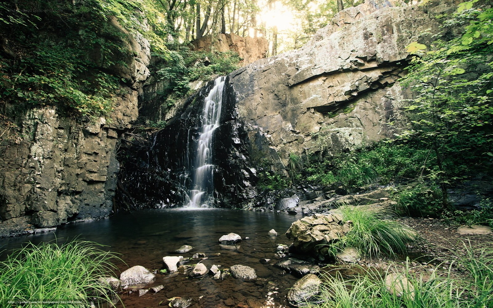 Waterfall in forest canyon