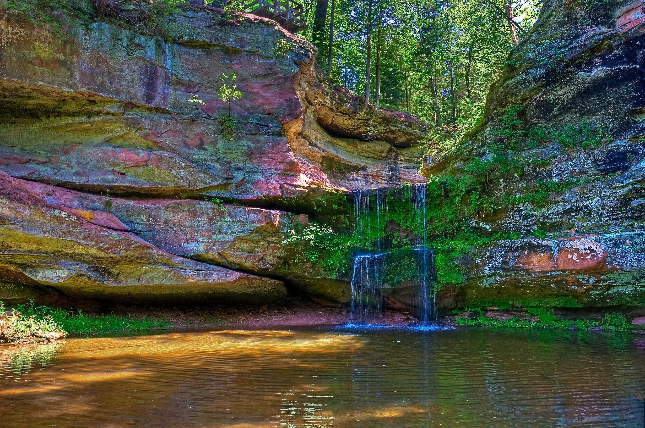 Waterfall in forest canyon