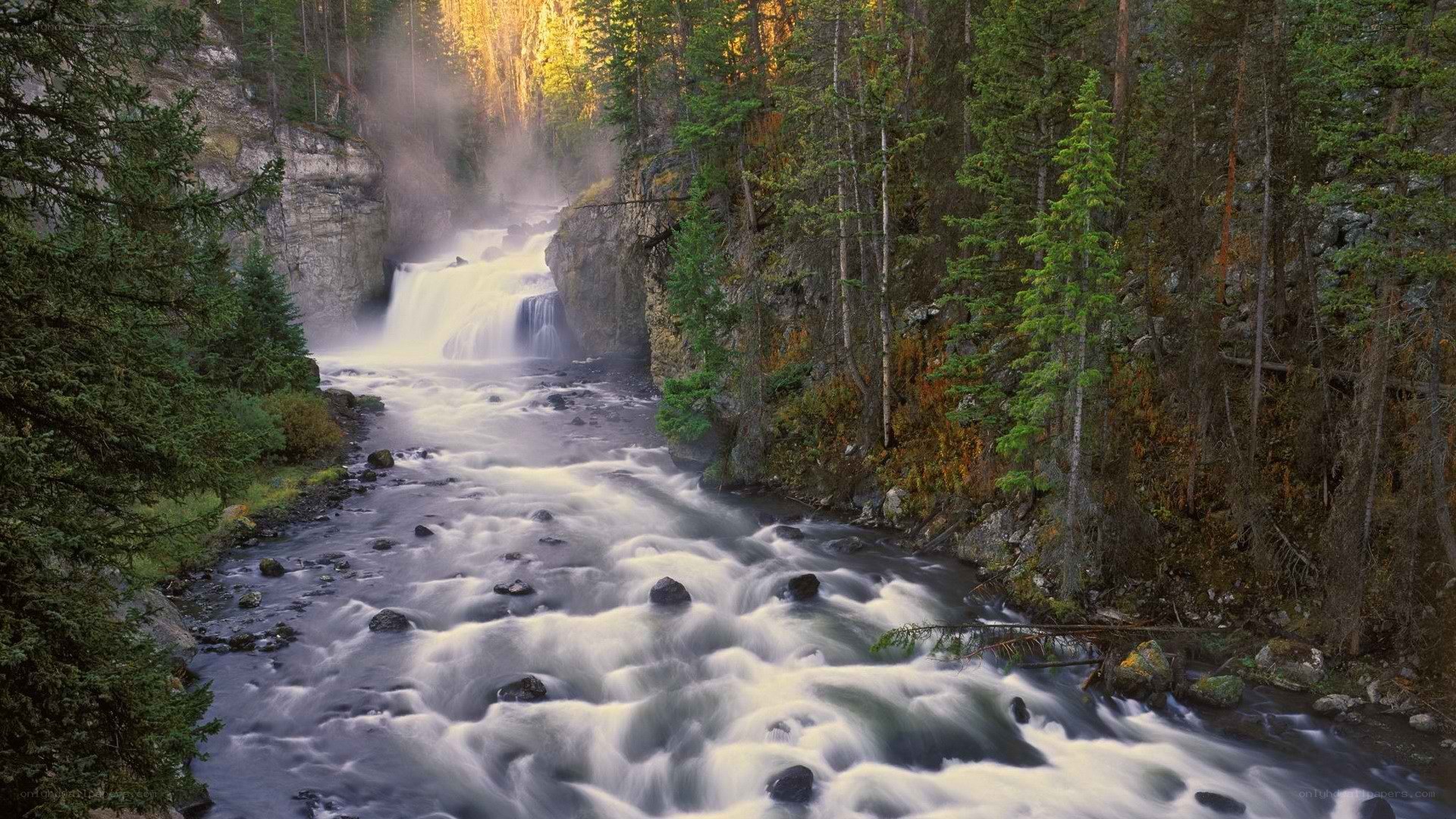 Waterfall in forest canyon