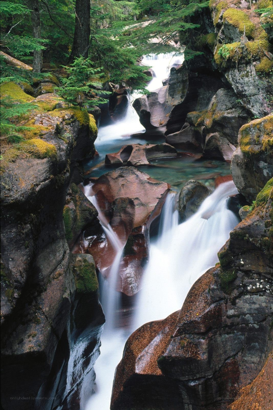 Waterfall in forest canyon