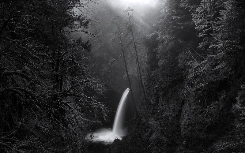 Waterfall in Forest Canyon — Black