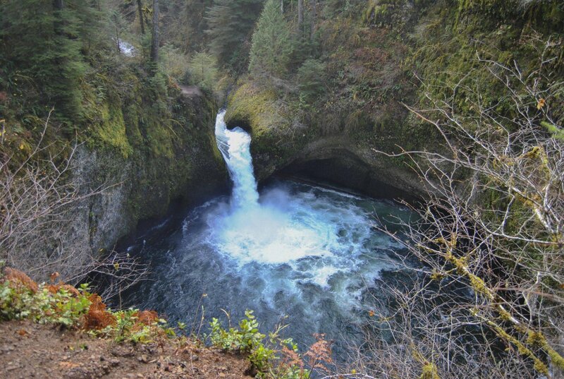 Waterfall in Forest Canyon — Green, Dramatic, Autumn