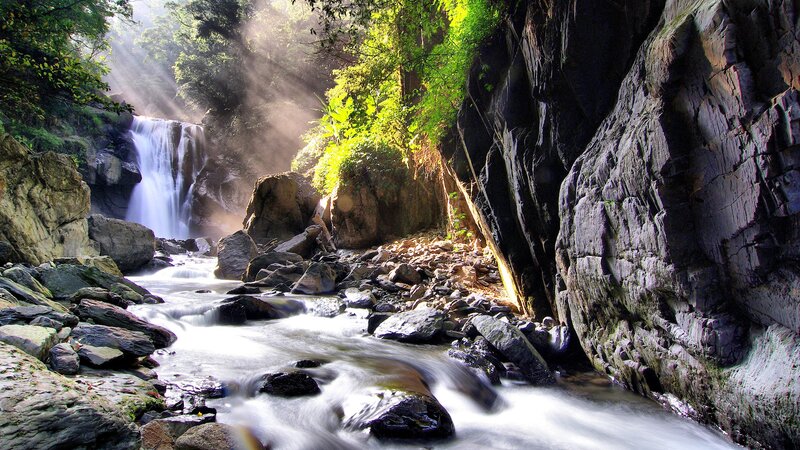 Waterfall in Forest Canyon — Green, Morning