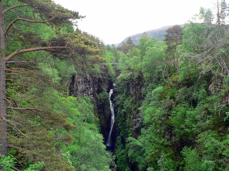 Waterfall in Forest Canyon — Green, Natural, Afternoon, Photograph, Trees