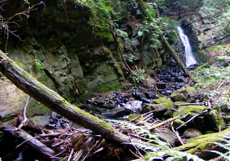 Waterfall in Forest Canyon — Green, Natural, Photograph