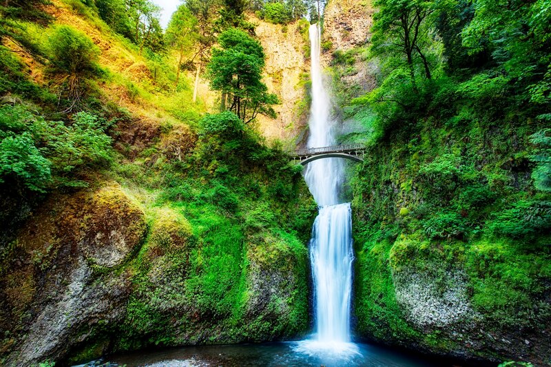 Waterfall in Forest Canyon — Green, Serene, Afternoon, Photograph, Bridge