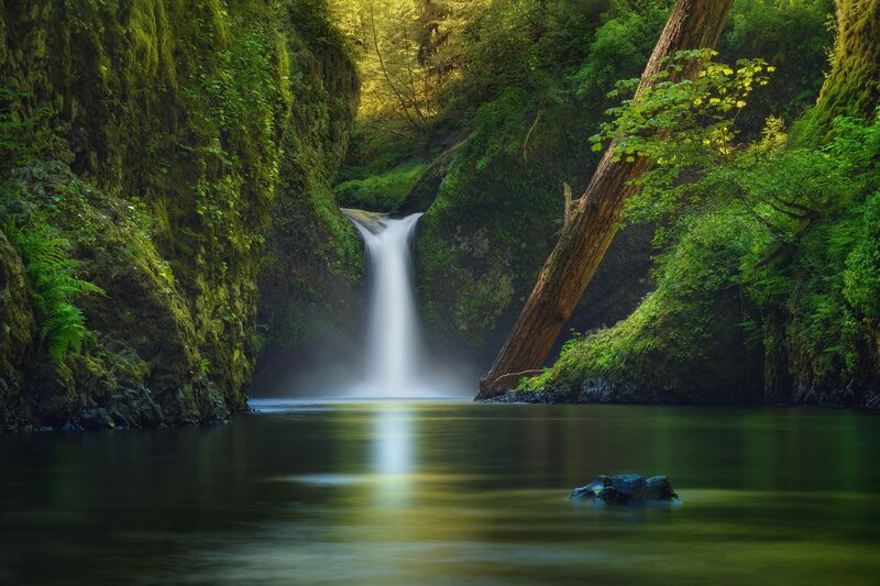 Waterfall in Forest Canyon — Green, Serene, Afternoon, Photograph, Moss-covered Rocks