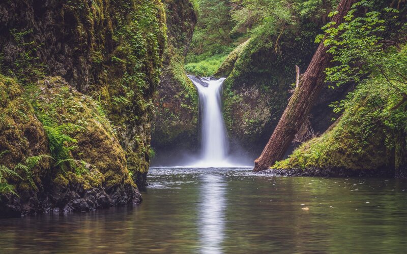 Waterfall in Forest Canyon — Green, Serene, Afternoon, Photograph, Mossy Rocks