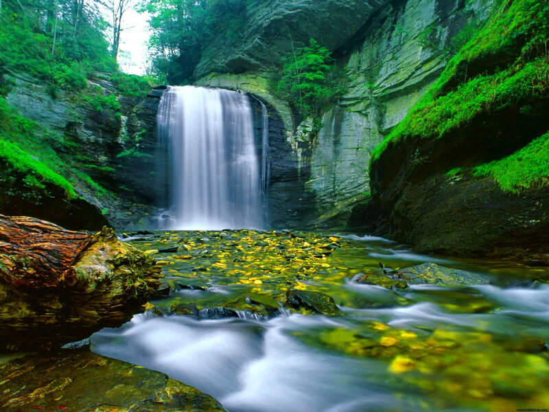 Waterfall in Forest Canyon — Green, Serene, Afternoon, Photograph, River, Moss