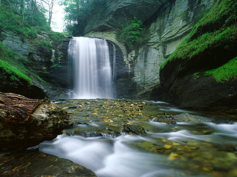 Waterfall in Forest Canyon — Green, Serene, Afternoon, Photograph, River, Rocks, Moss, Gray