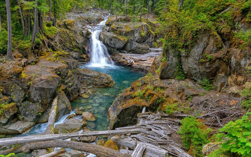 Waterfall in Forest Canyon — Green, Serene, Afternoon, Photograph, River, Rocks, Trees, Logs