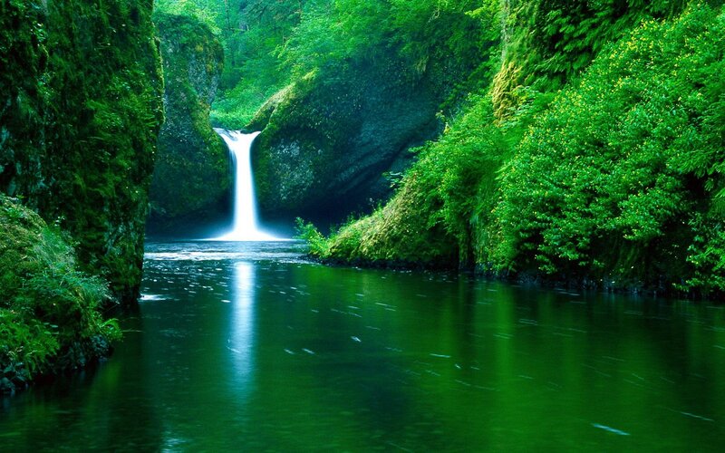 Waterfall in Forest Canyon — Green, Serene, Afternoon, Photograph, River, Trees, Blue