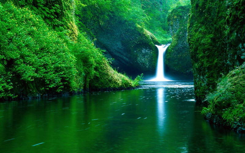 Waterfall in Forest Canyon — Green, Serene, Afternoon, Photograph, River, Trees, Moss