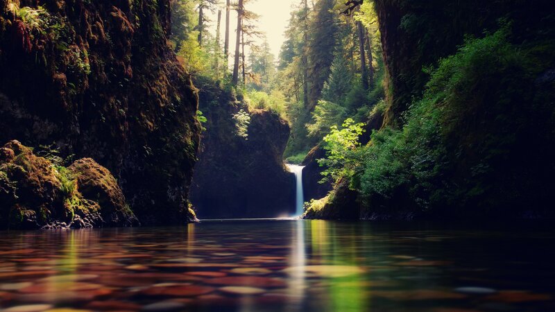 Waterfall in Forest Canyon — Green, Serene, Afternoon, Photograph, River, Trees, Rocks