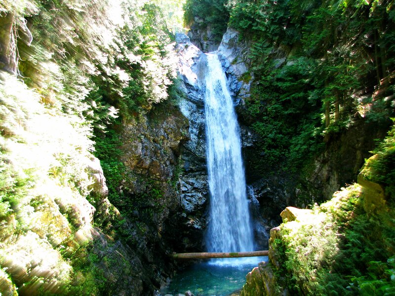 Waterfall in Forest Canyon — Green, Serene, Afternoon, Photograph, Trees, Pool