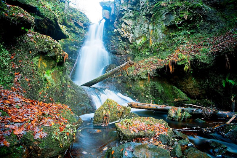 Waterfall in Forest Canyon — Green, Serene, Autumn, Photograph, Moss