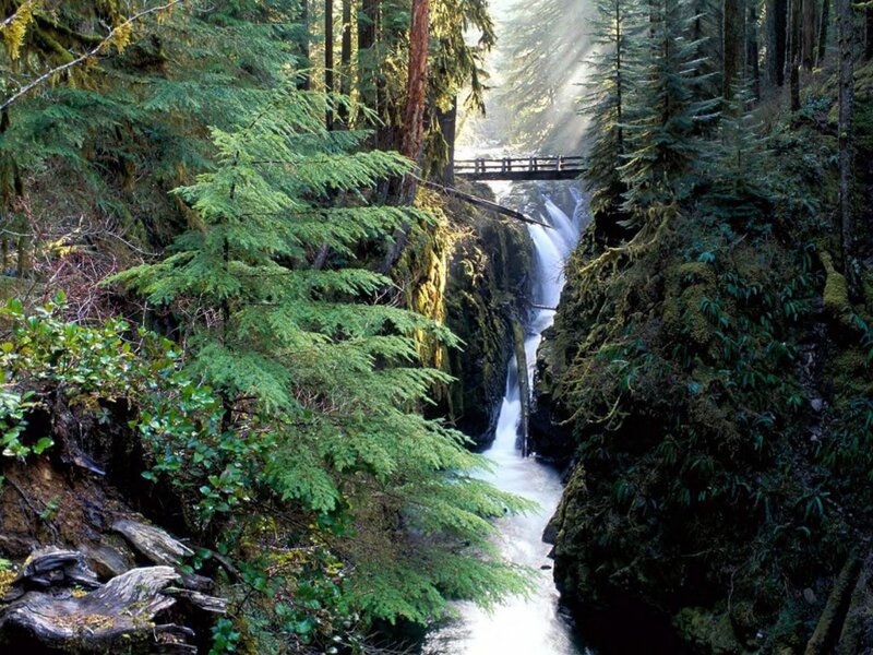 Waterfall in Forest Canyon — Green, Serene, Morning, Photograph, Bridge