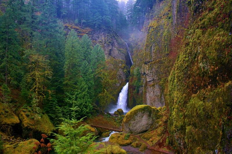 Waterfall in Forest Canyon — Green, Serene, Morning, Photograph, Moss