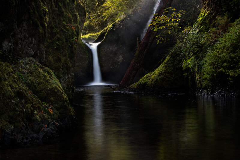 Waterfall in Forest Canyon — Green, Serene, Morning, Photograph, Mossy Rocks, Fallen Tree
