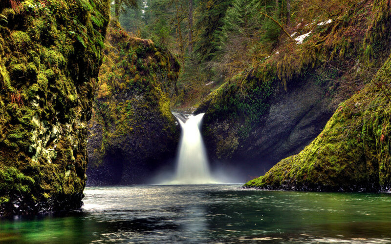 Waterfall in Forest Canyon — Green, Serene, Morning, Photograph, Mossy Rocks