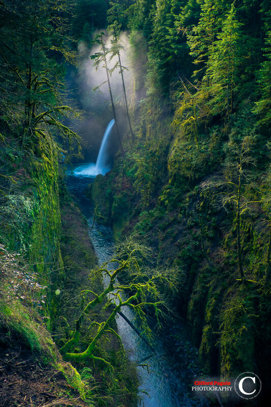 Waterfall in Forest Canyon — Green, Serene, Morning, Photograph, Mossy Trees