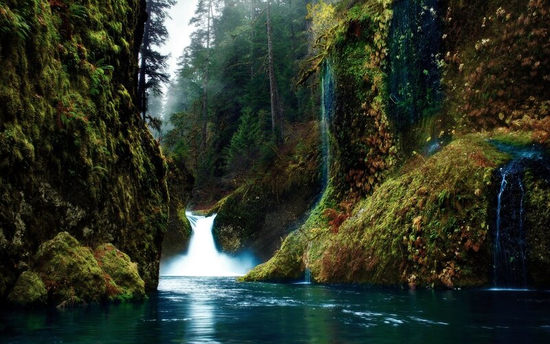 Waterfall in Forest Canyon — Green, Serene, Morning, Photograph, River, Moss, Blue, White