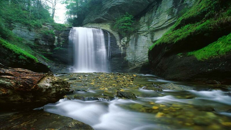 Waterfall in Forest Canyon — Green, Serene, Morning, Photograph, River, Moss, Log